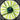 Aerocool Shark Series 120mm Green Edition High Air Pressure Fan