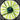 Aerocool Shark Series 120mm Green Edition High Air Pressure Fan