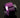 Barrowch Compression Fitting OD 16mm Helm Edition - Violet 