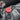 BitspowerBitspower Premium G1/4" Deep Blood Red Stop FittingBP - DBRPRE - 06