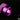DarkSide Laing D5 Motor Modding Cover – PurpleDS - 1023