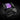 EK - Quantum Momentum Aorus Z490 Master D - RGB - PlexiEK-MOM-AOR-Z490-MAS-DRGB-NP