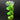 FrozenQ LFX Helix Insert for 140/160 Res - UV GreenFQ-HELIX1X0-UVG-D