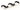 FrozenQ LFX Helix Insert for 230/250 Res - Black/WhiteFQ-HELIX2X0-BK-WH-D