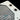 Black Ice Vendetta R240 Satin WhiteVR240-F2PW