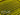 Black Ice Vendetta S240 YellowVS240-F2PY