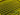 Black Ice Vendetta X360 YellowVX360-F2PY