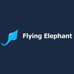 Flying Elephant