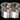 MAINFrame CustomsMAINFrame Customs OverkillPC’s Knuckle Combs – Silver - 4 SquareMC - OVERKILLCOMB - SILVER - 4PIN