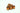 Monsoon Hardline Economy Compression Fittings, 1/2" x 5/8" 6-Pack - Orange