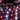 5M/ DC12V 10mm Black PCB 60LED/M 300LED 5050SMD RGB+White/RGBW Flex LED Strip IP65 WateproofPPCS-RGBW-5M-BK