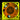 ACE 40 x 20mm LED Fan - UV Yellow/Orange