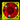 ACE 40 x 20mm LED Fan - UV Yellow/Red