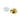 SNAP-CAP Screw Caps Electroplated - Pack of 10 - 24k Gold