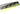 Primochill Carbon BiColor Rad Grillz - Quad 140mm - UV Green/BlackRGCBi-440-UG-BK-D