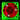 ACE 40 x 20mm LED Fan - UV Green/Red