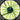 Aerocool Shark Series 120mm Green Edition High Air Pressure Fan